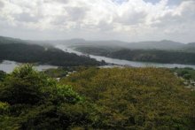 panama_regenwald