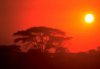 swasiland_sonnenuntergang