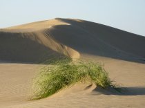 turkmenistan_sandduenen_karakum