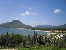 venezuela_playa_el_cardon