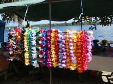 vanuatu_blumen_kraenze