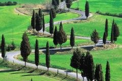 toskana1.jpg