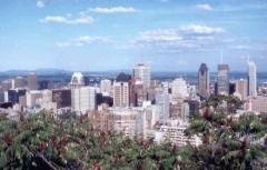 montreal2.jpg