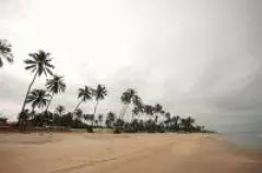 goa01