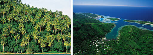 Huahine Reisen und Billigflug - Französisch-Polynesien - Hotels und Flug nach Huahine