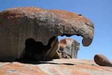 australien-ikarus-kangaroo-island-4