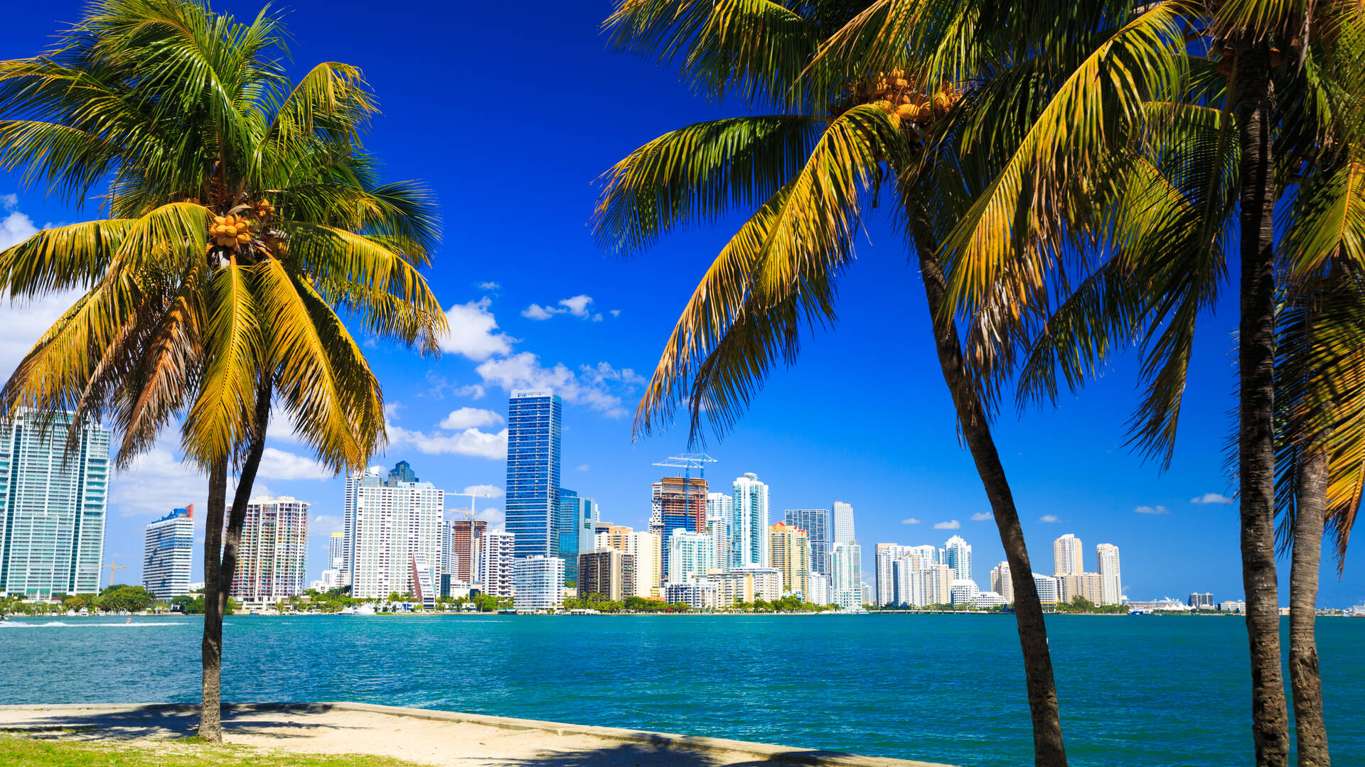 Miami Reisen und Billigflug USA - Vereinigte Staaten von Amerika - Hotels und Flug nach Miami