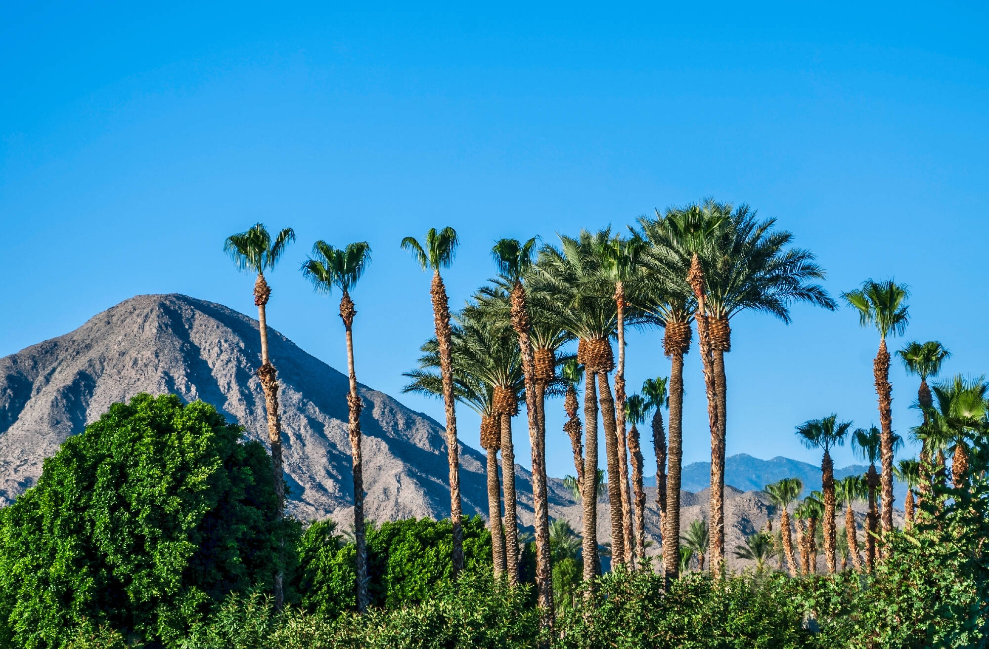 Palm Springs, USA