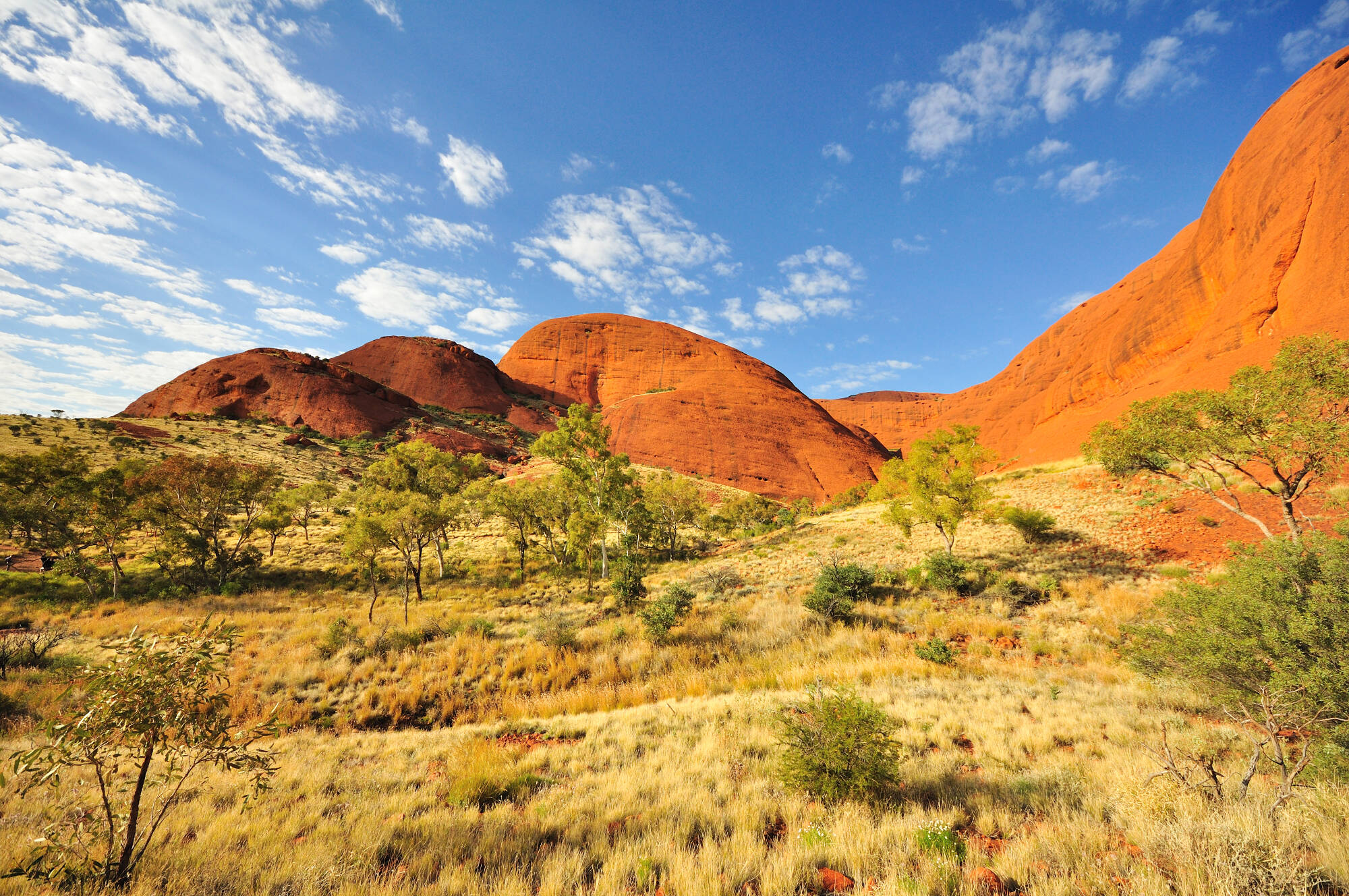 Alice Springs Reisen und Billigflug - Australien - Hotels und Flug nach Alice Springs