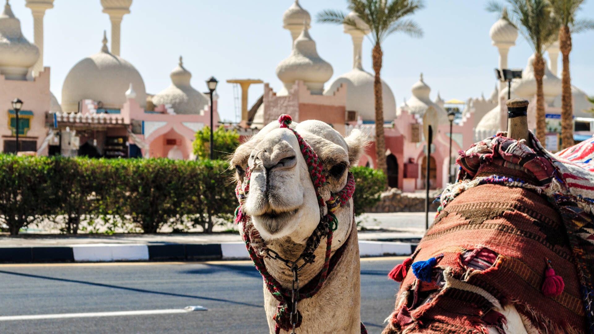 Scharm El-Scheich (Sharm El Sheikh), Ägypten