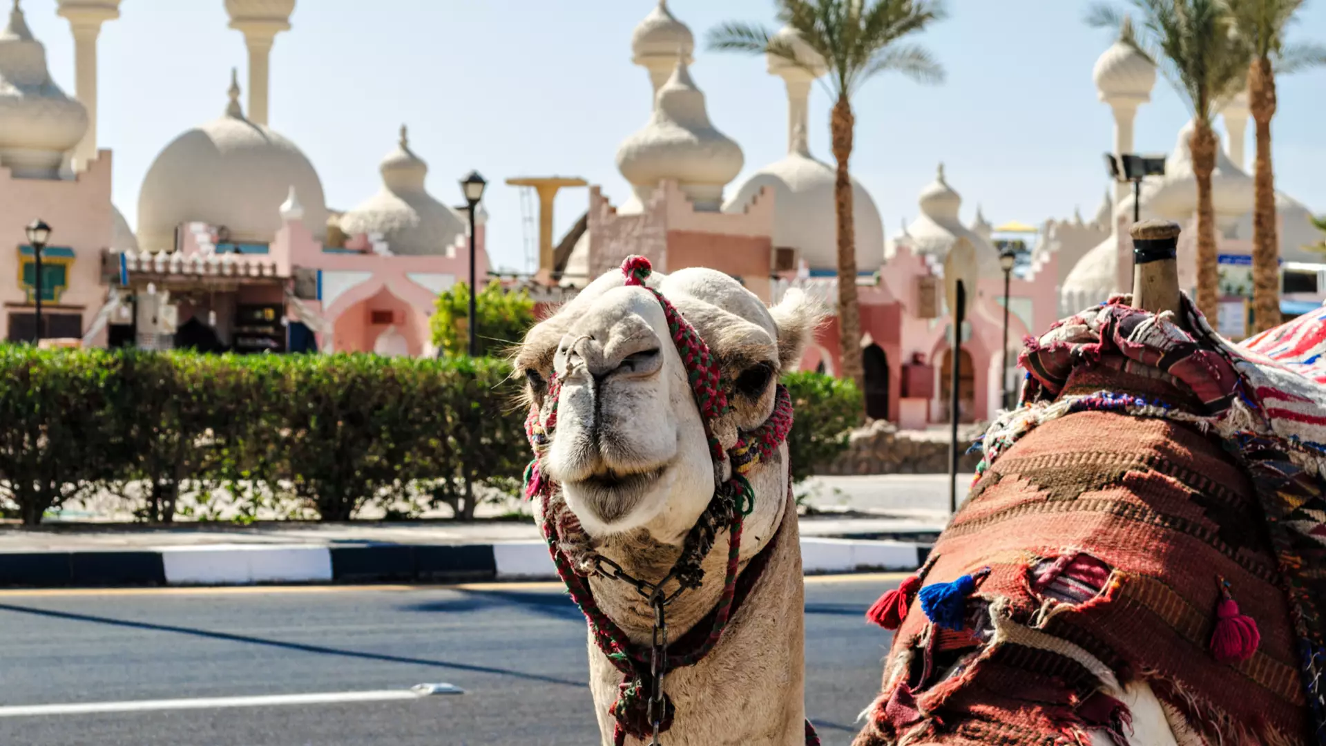 Scharm El-Scheich (Sharm El Sheikh), Ägypten