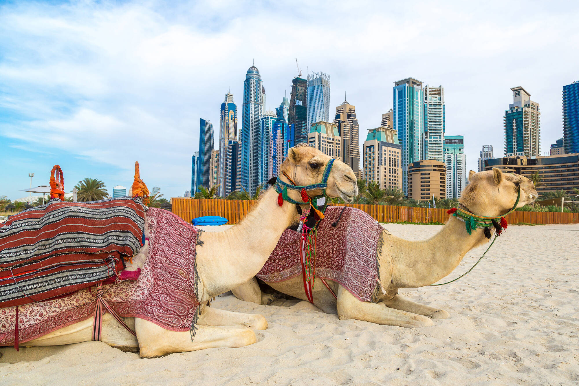 Vereinigte Arabische Emirate Reisen und Billigflug - Hotels und Flug nach Arabische Emirate