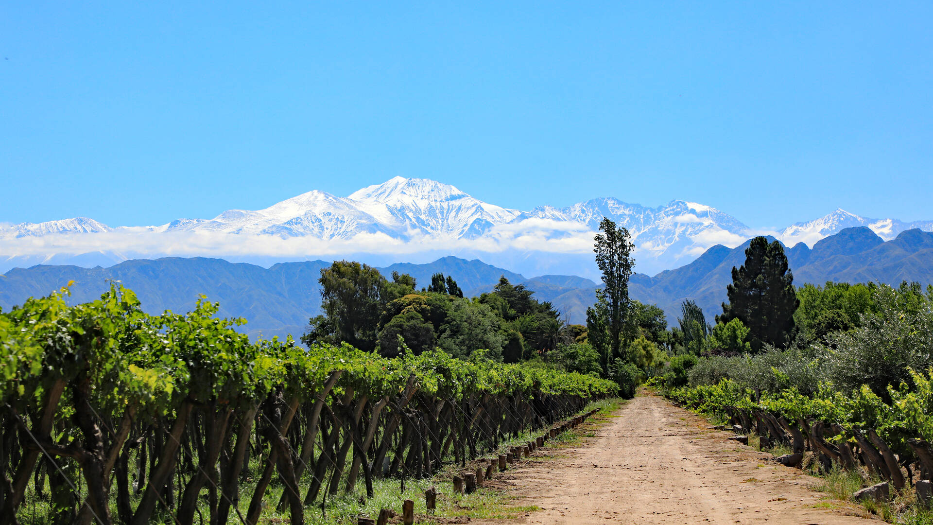 Mendoza, Argentinien