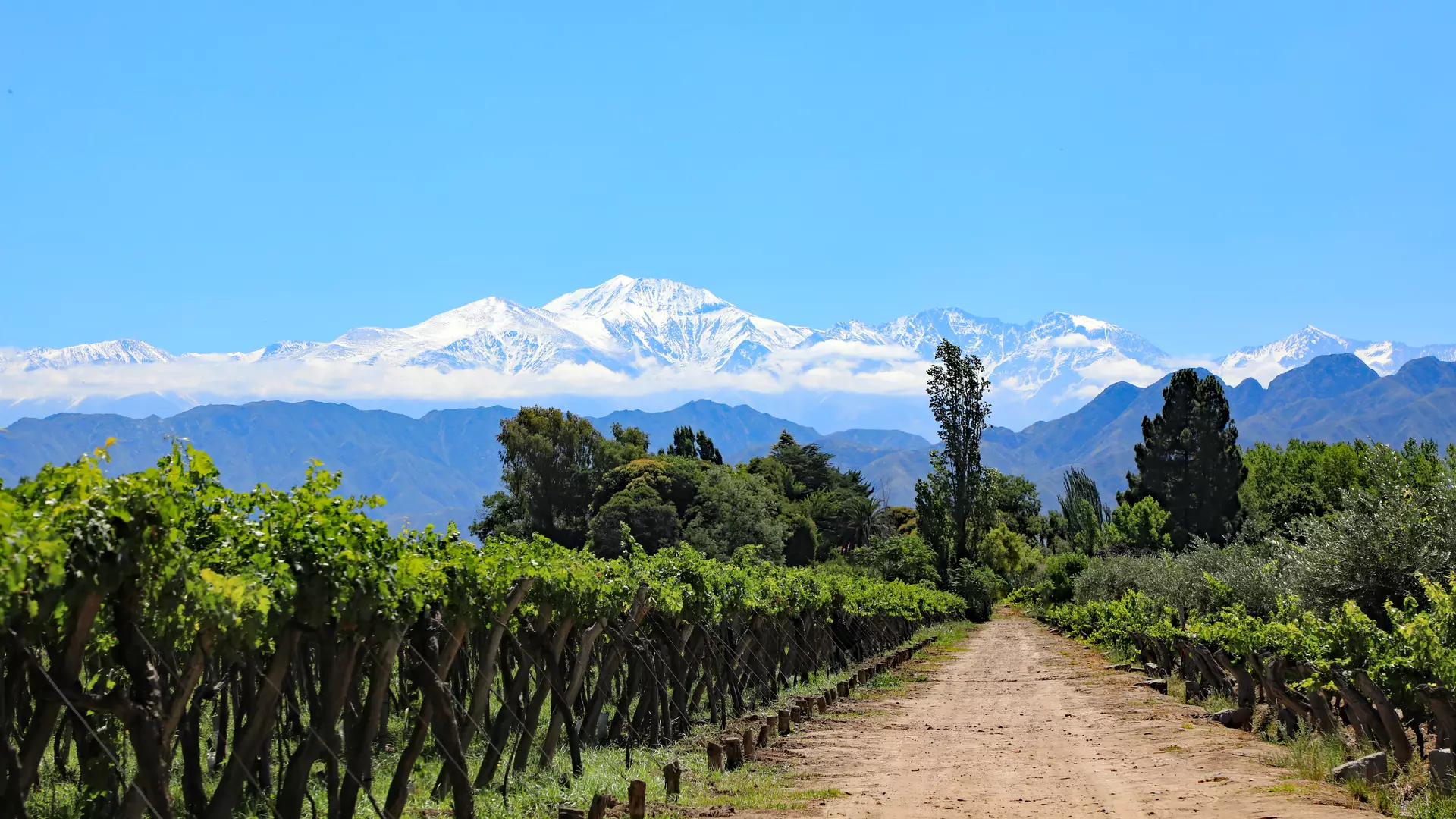 Mendoza, Argentinien