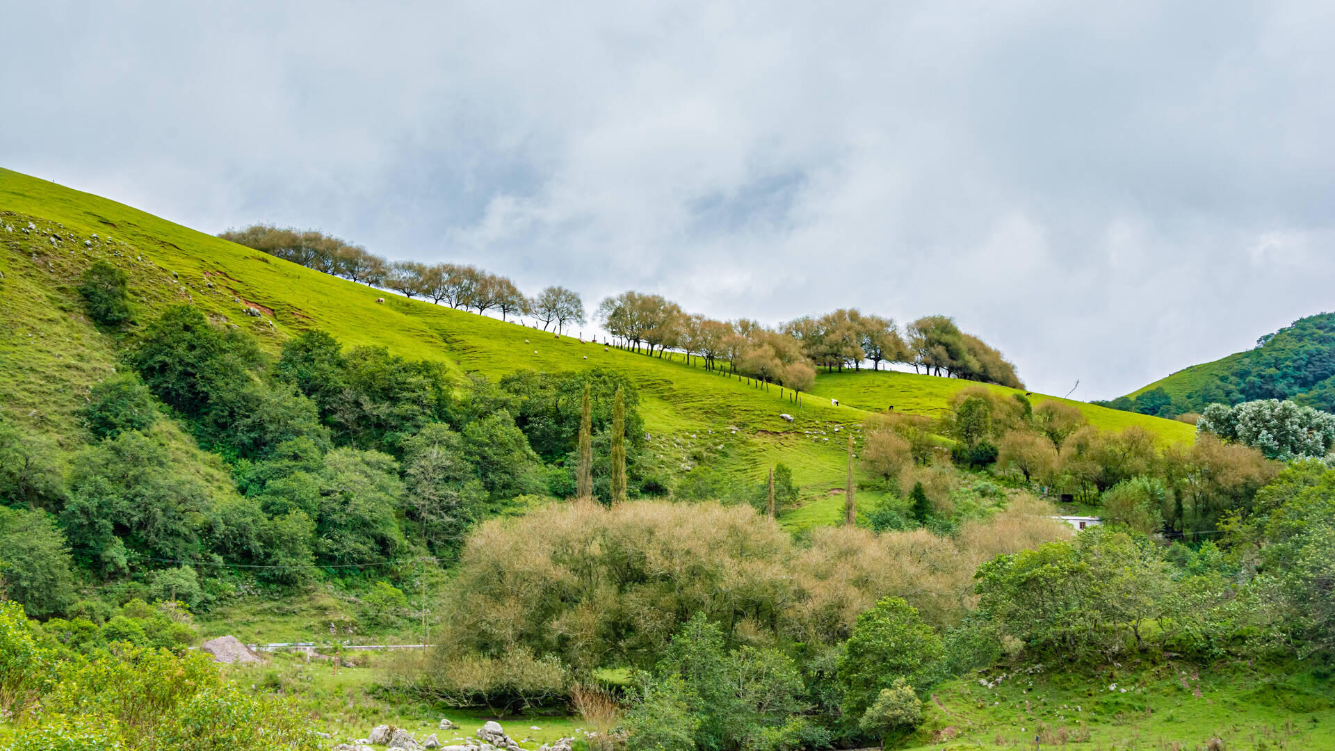 Tucuman, Argentinien