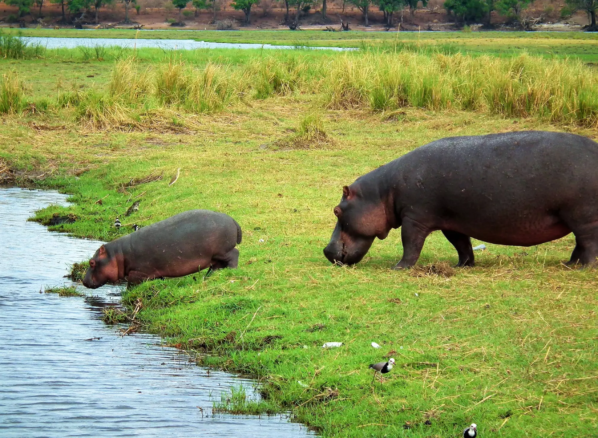 Kasane, Botswana