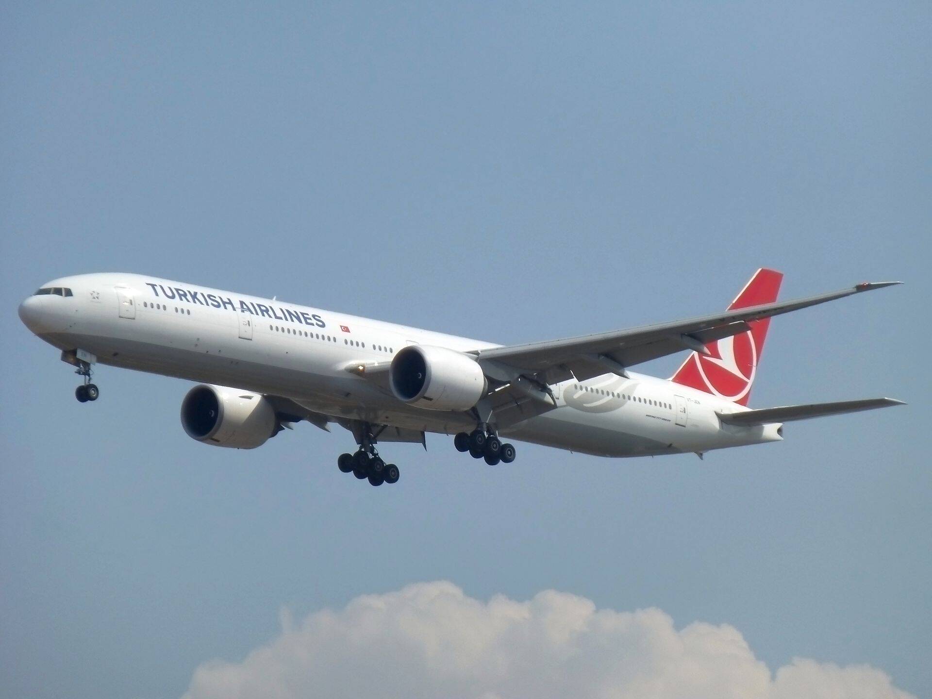 Günstige Flüge ✈️ Turkish Airlines (TK)