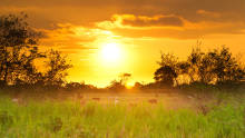 Ecuador Ecuador