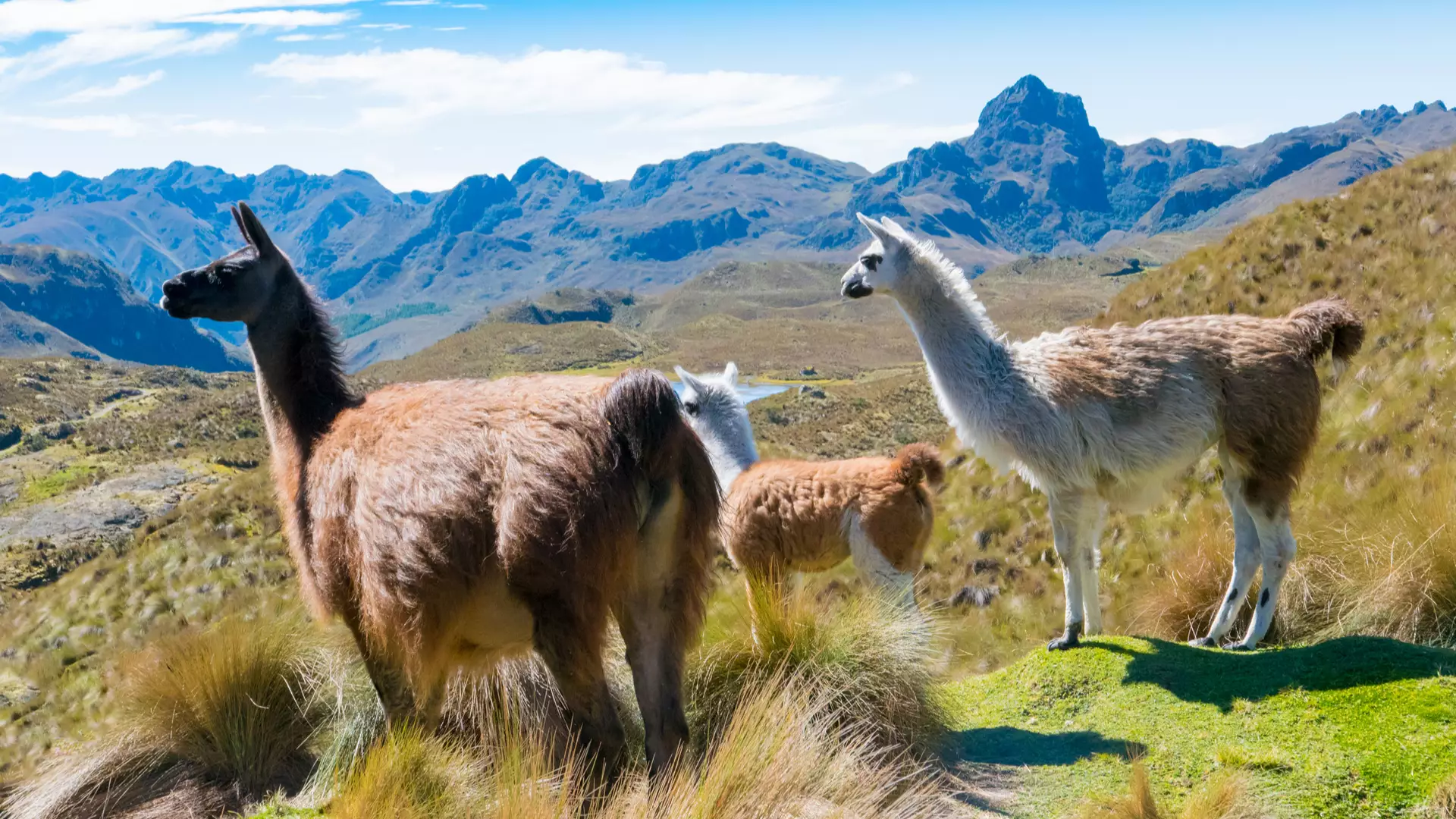 Cuenca, Ecuador