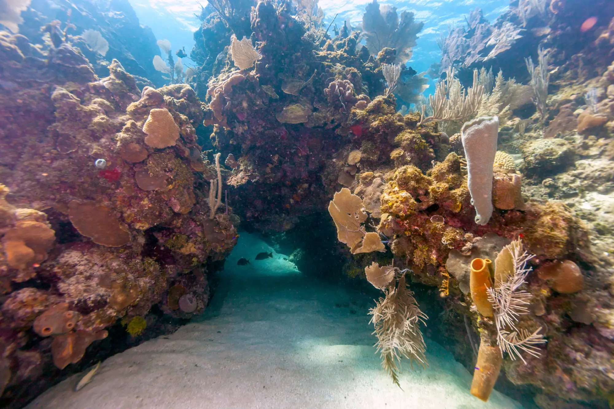 Roatan, Honduras