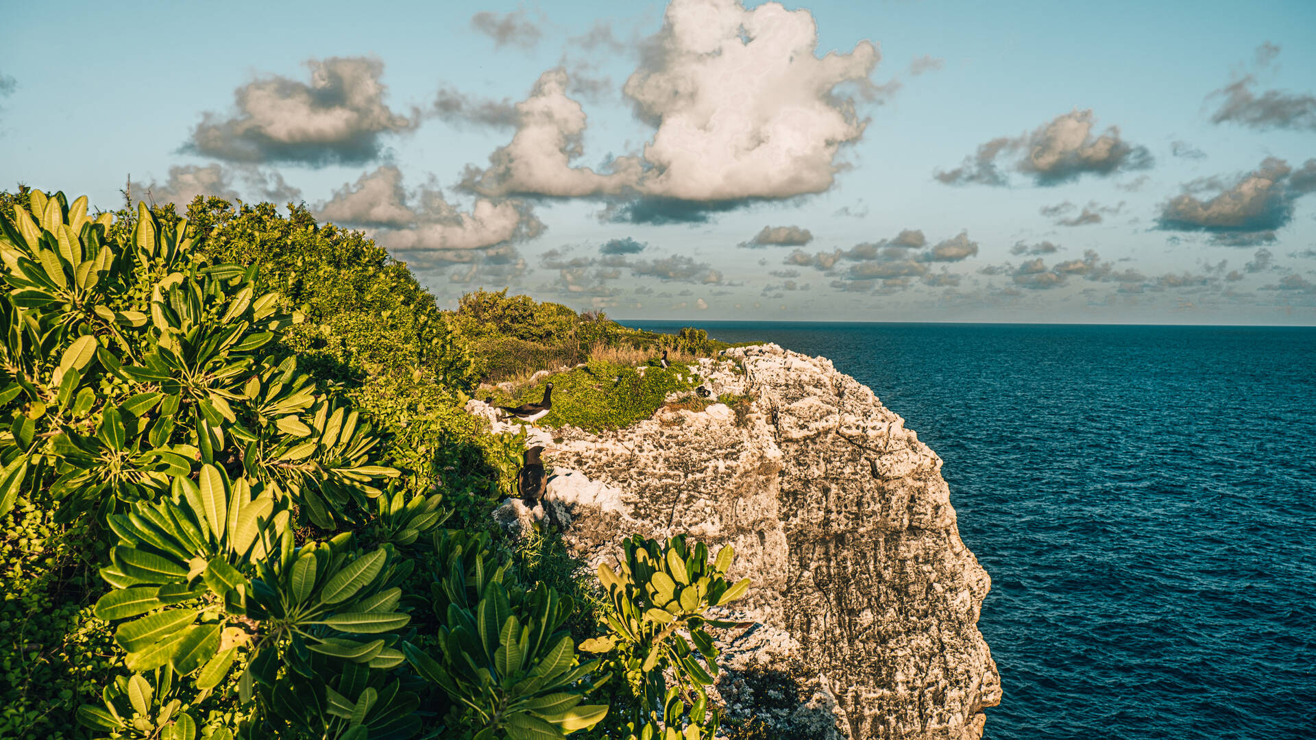 Cayman Brac, Kaimaninseln