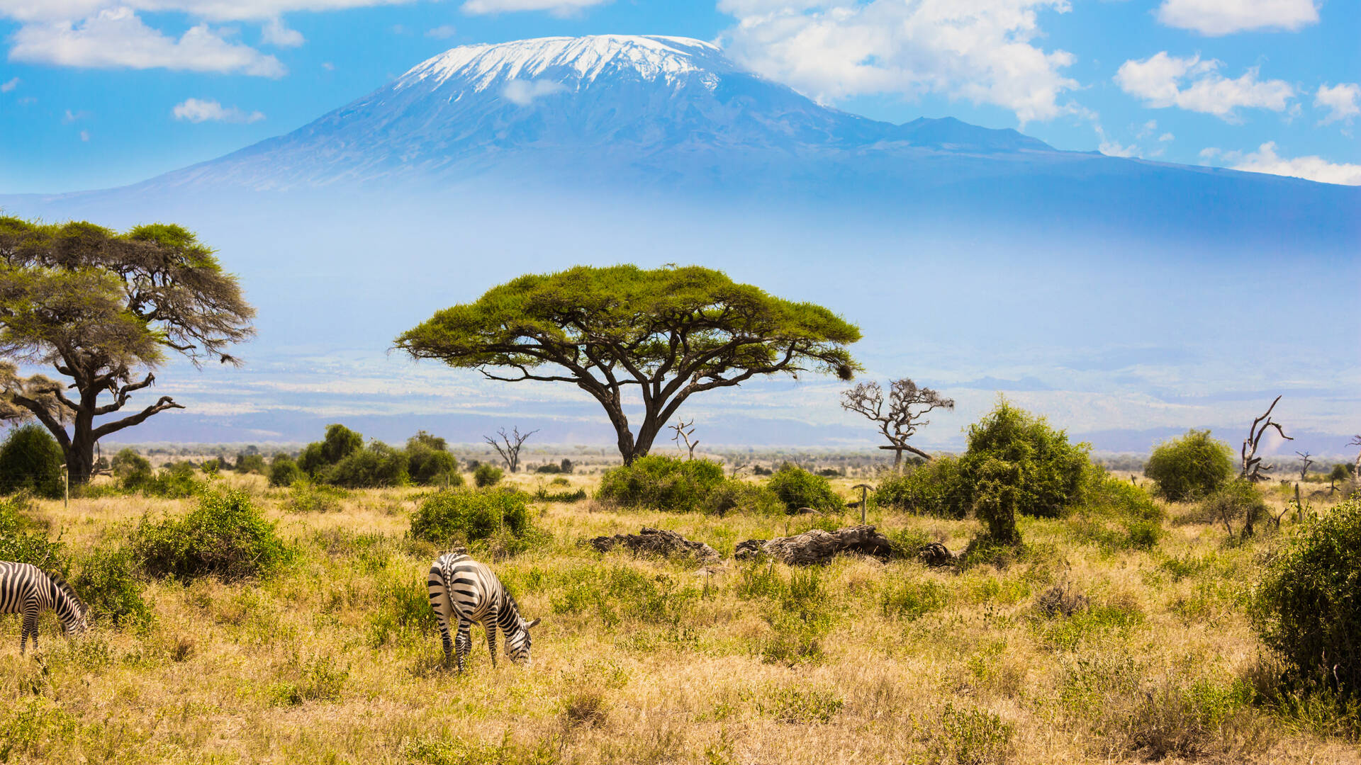 Amboseli Reisen und Billigflug - Kenia - Hotels und Flug nach Amboseli