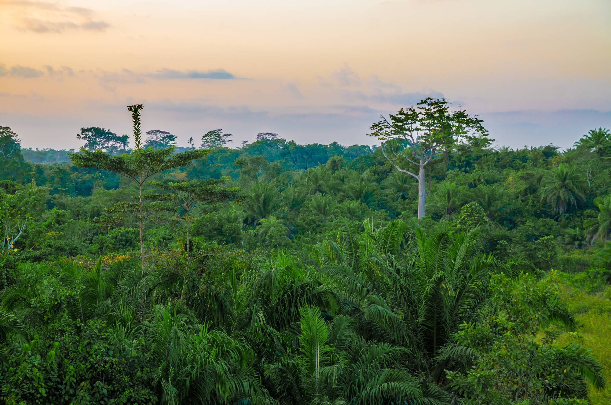 Liberia