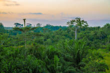 Liberia Liberia