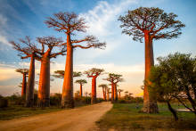 Madagaskar Madagaskar