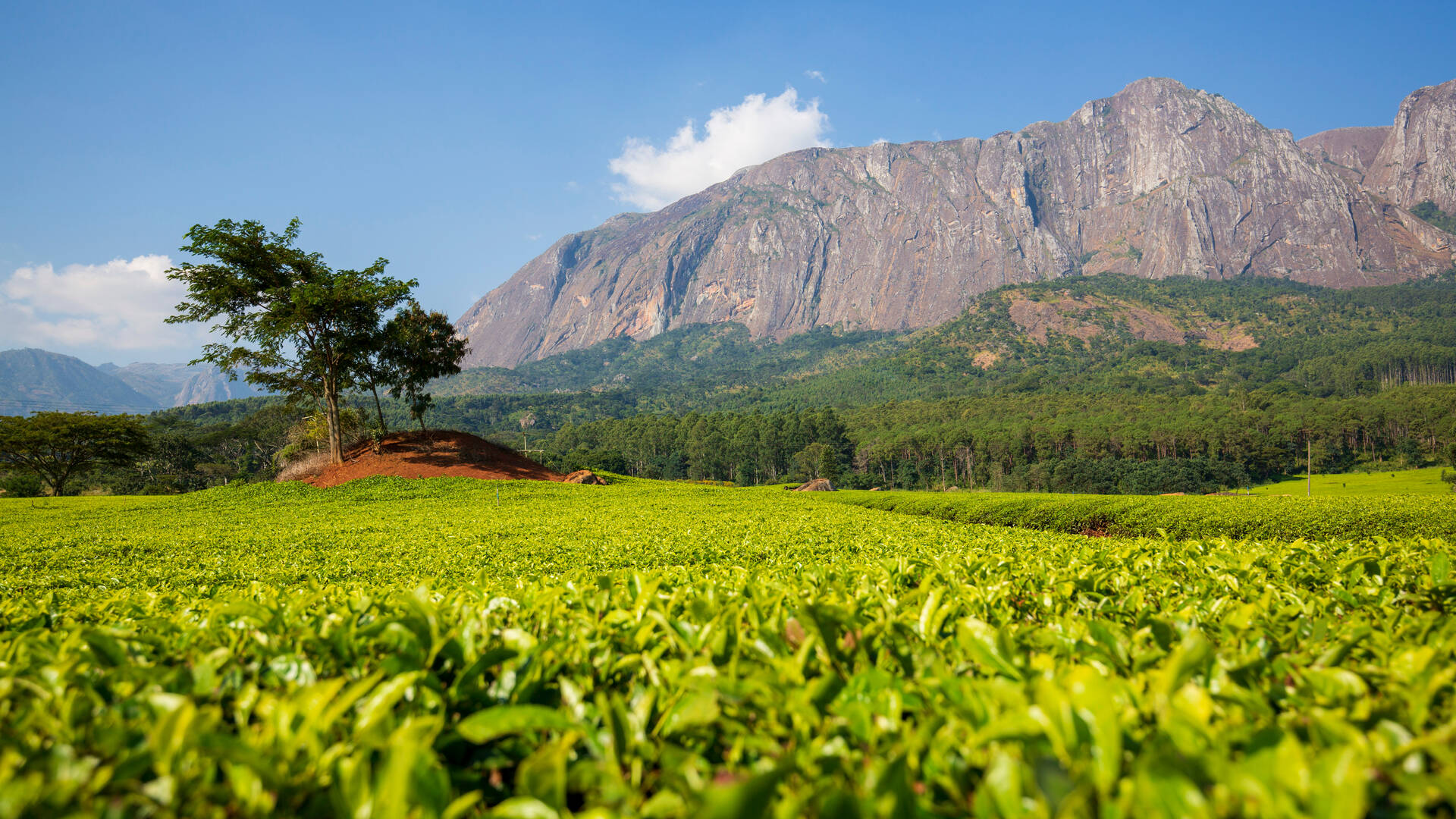 Malawi