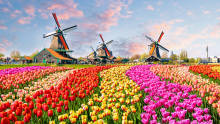 Niederlande Niederlande