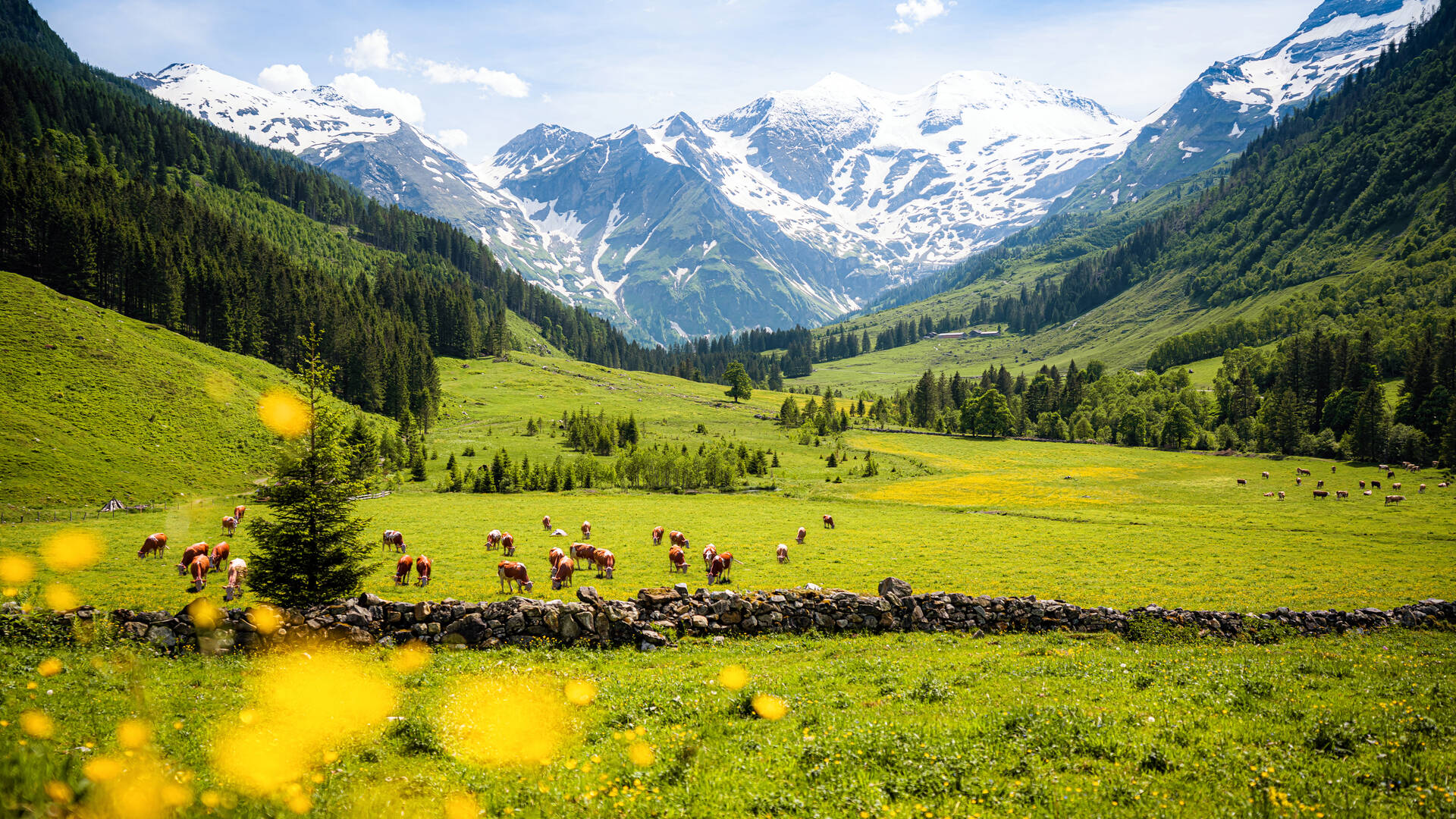 Österreich