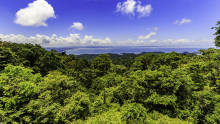 Surinam Surinam