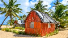 Tonga Tonga