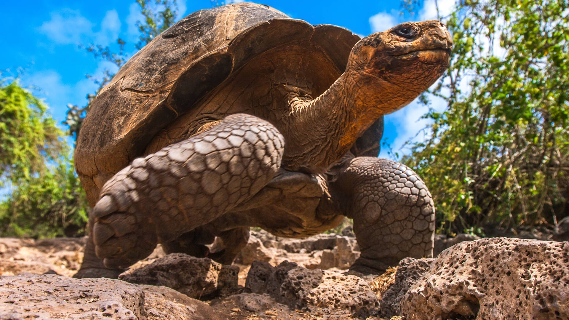 Galapagos - San Cristobal, Ecuador