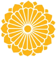 Myanmar National Airlines
