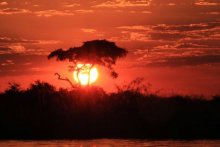 namibia_etosha_sonnenuntergang