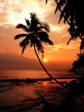 sri_lanka_sonnenuntergang