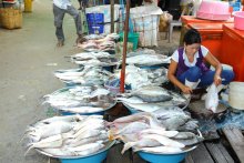 ranong_fischmarket