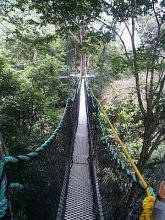 guyana_haengebruecke